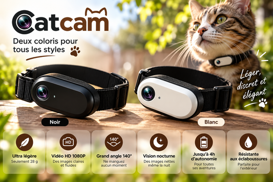 CatCam caméra HD 1080P fixée au collier d’un chat